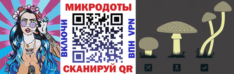 Галлюциногенные грибы ЛСД  купить наркоту  Суздаль 