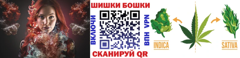Бошки марихуана марихуана  купить наркоту  Суздаль 